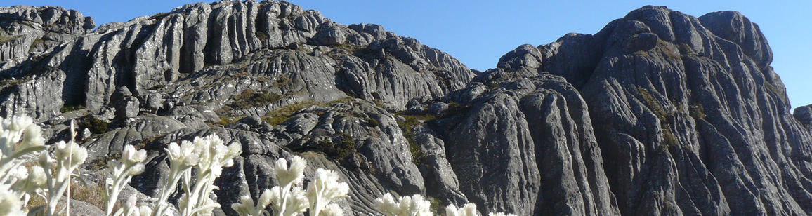 Trekking im Andringitra NP 2N/3T - Madagascar Mosaik Reisen